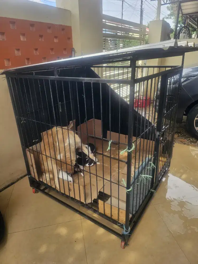 Dijual kandang anjing