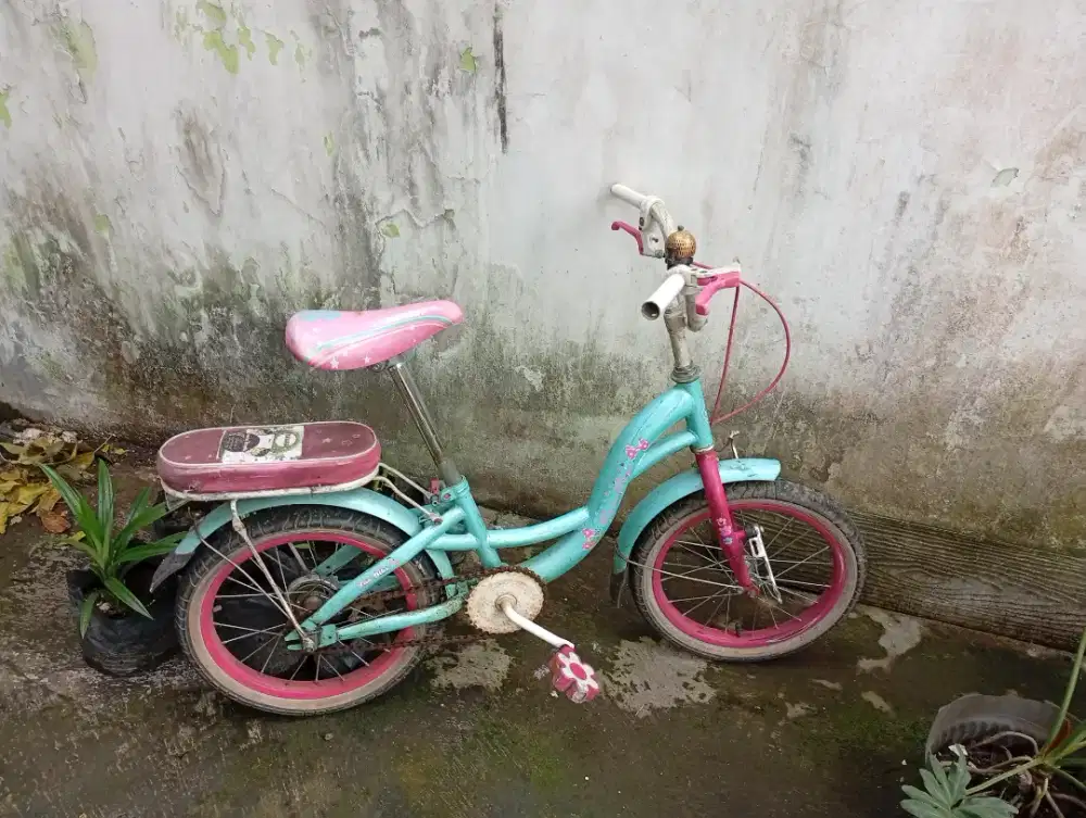 Dijual sepeda anak