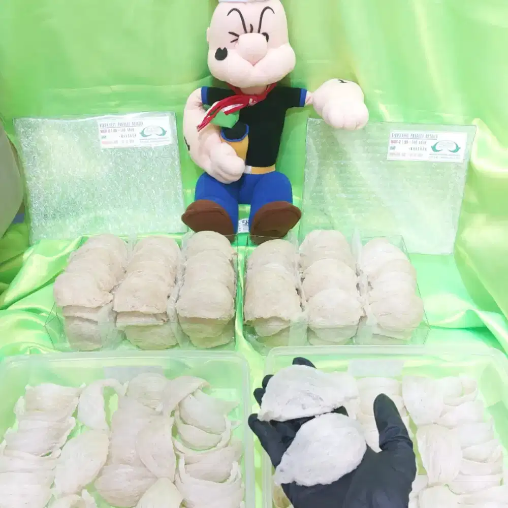 SARANG BURUNG MANGKOK LUAR PULAU