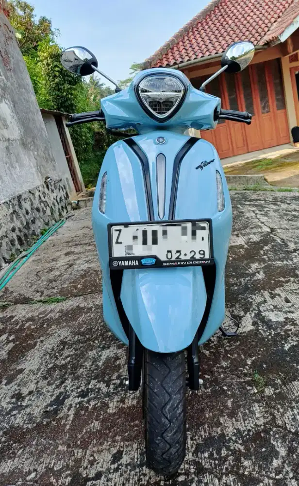 Grand filano nik 2024