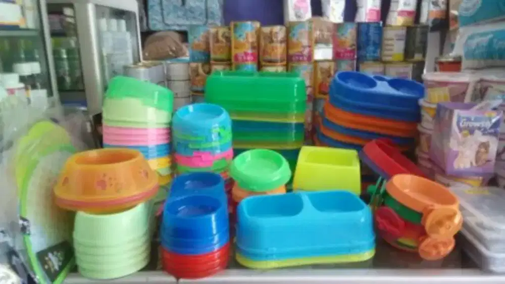 Tempat Makan Minum Kucing.