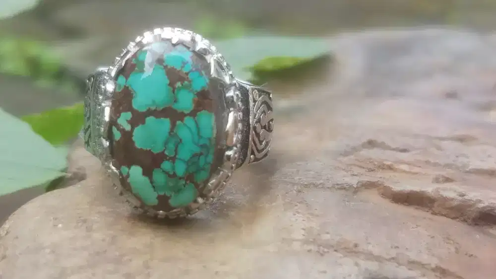 Pirus Persia Ceplok Kura