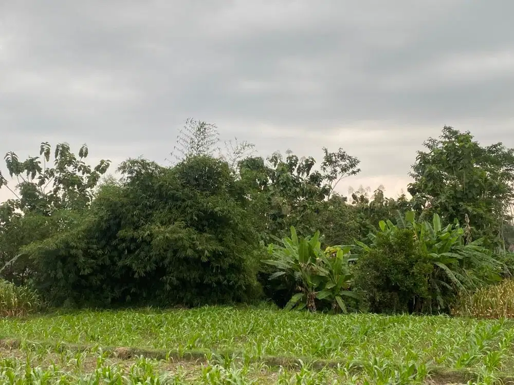 TANAH AREA KABUPATEN BLITAR