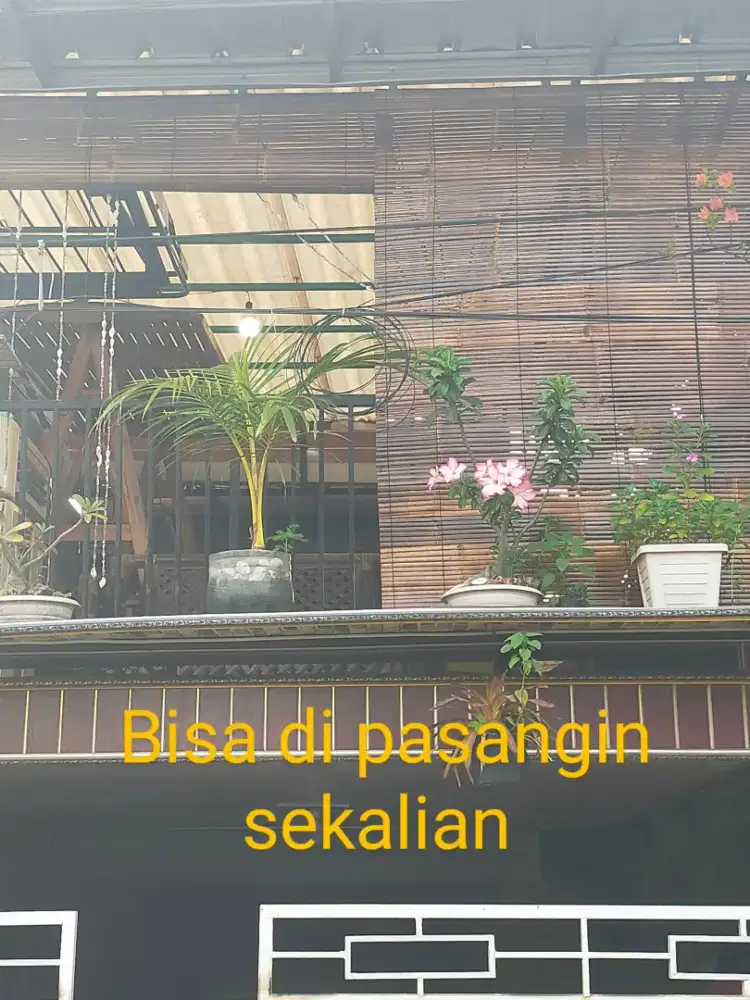 Krey tirai bambu wulung