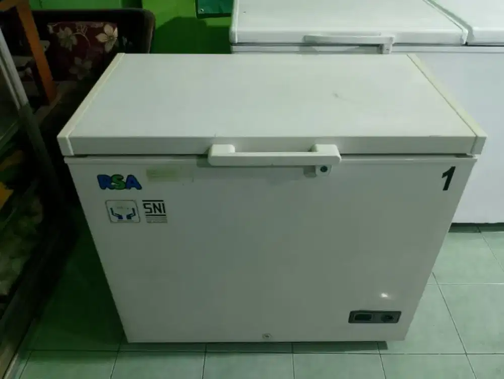 Frezer 250 liter merek RSA