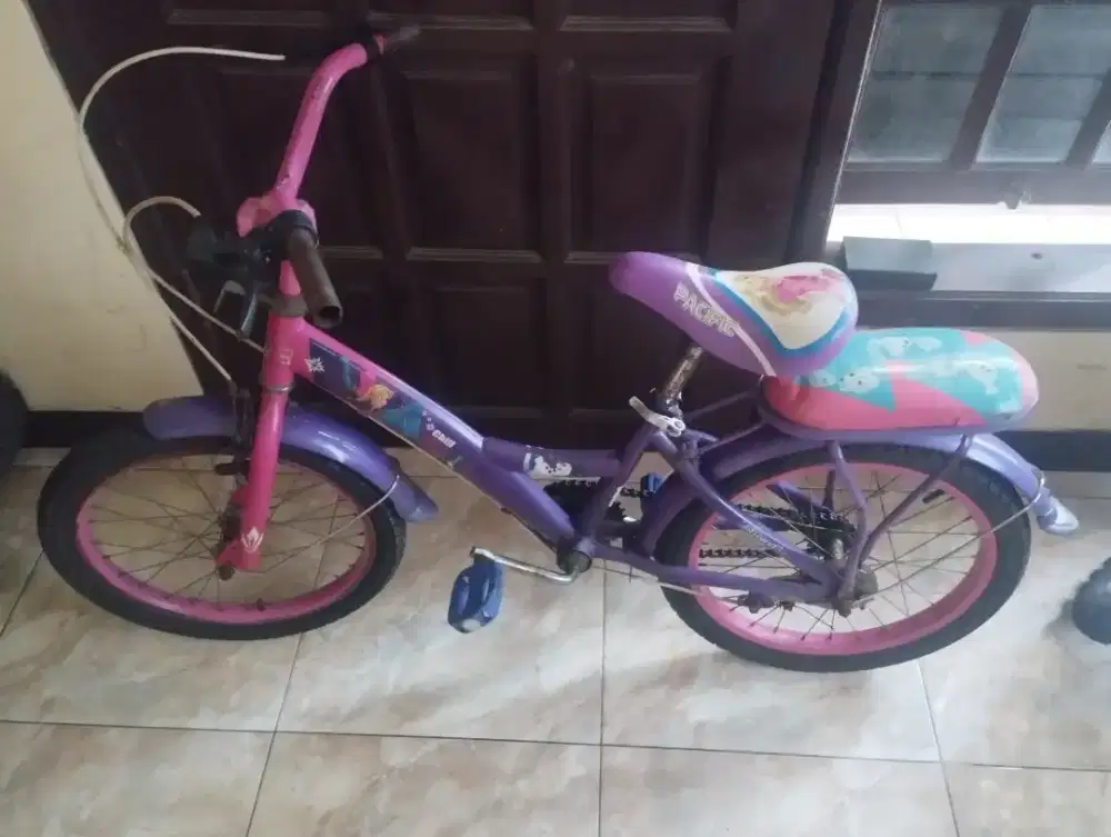 Sepeda Mini Element Frozen 16