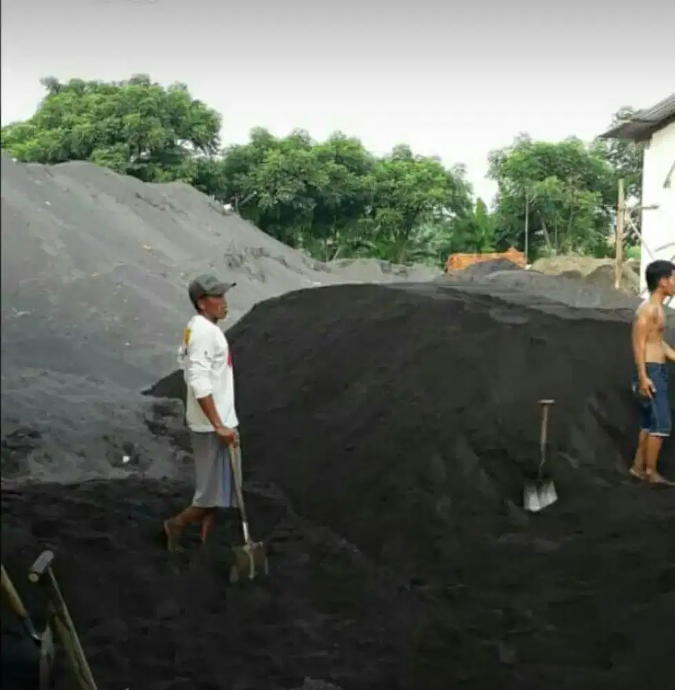 Pasir Lumajang dan Pasir Wajak