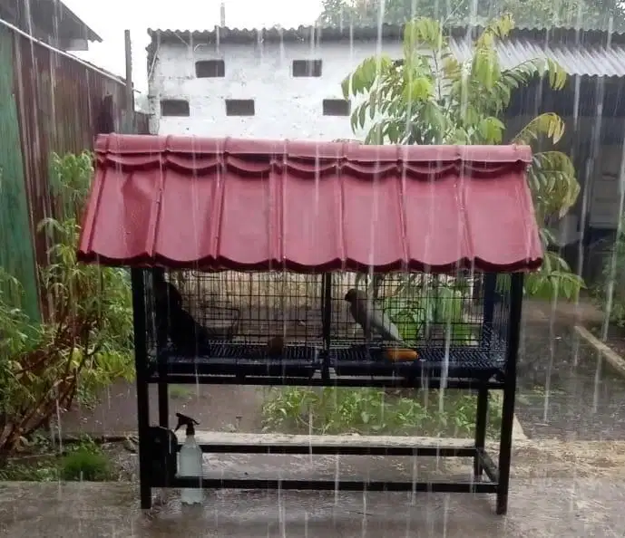 Mini Aviari Kandang Burung Joglo Murah