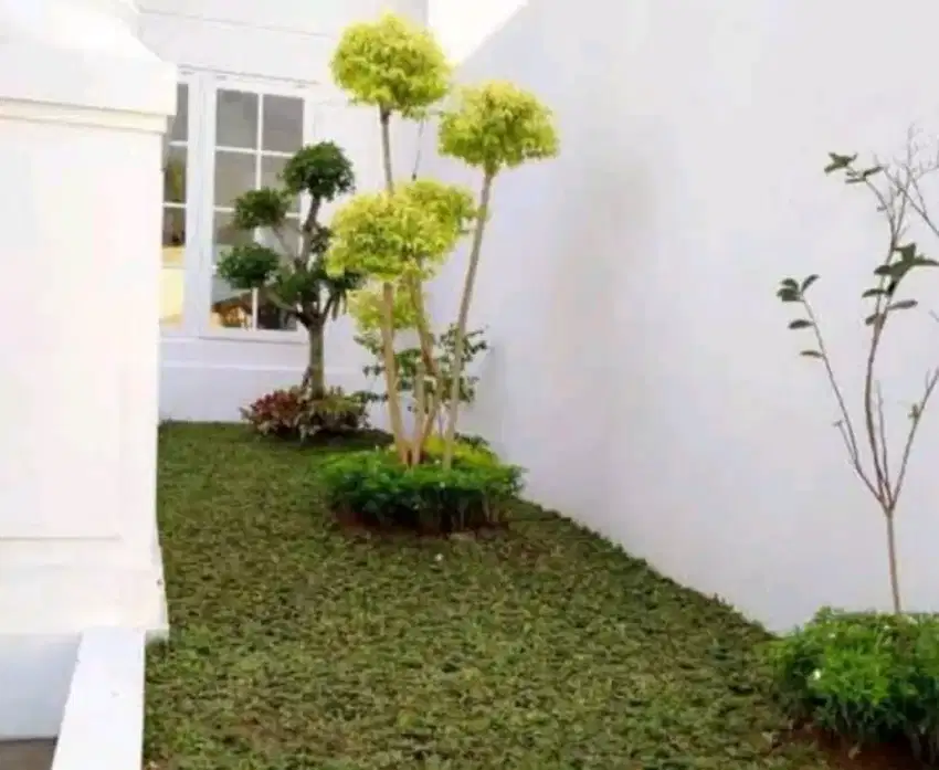 dekorasi taman lenscape