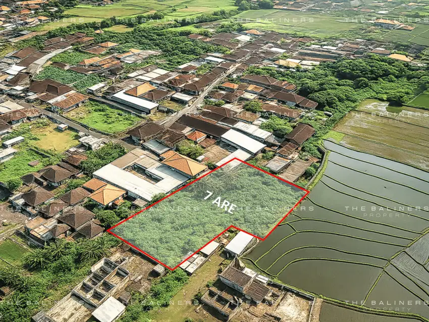 SERENE RICE FIELD VIEW LAND IN BUDUK WITH DEVELOPMENT POTENTIAL