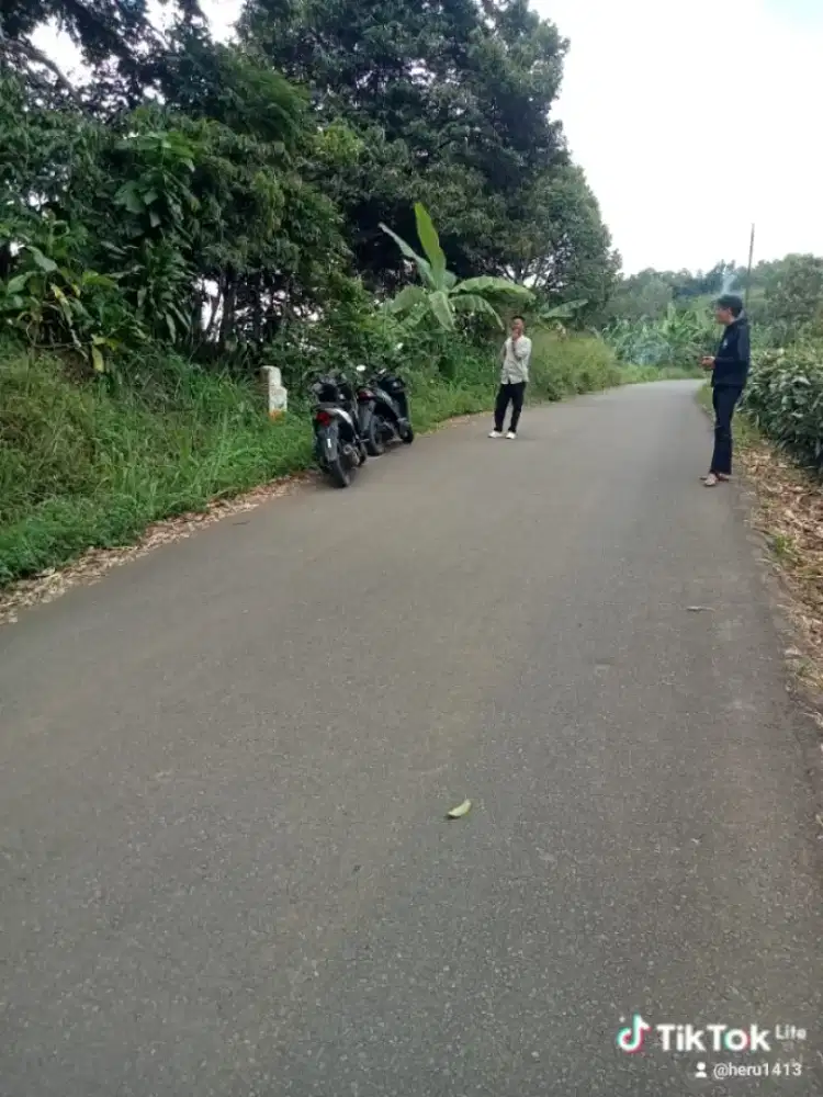 Di jual lhan darat pinggir jln sudah bnyak phon buah n