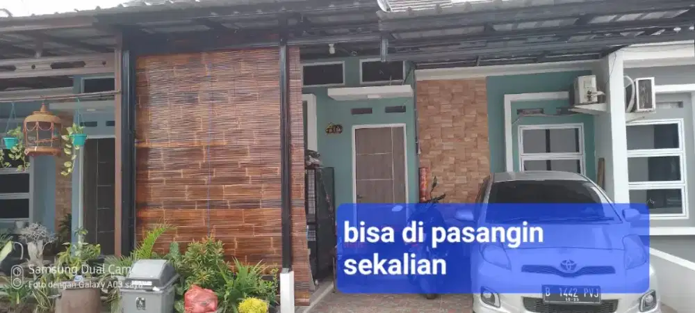 Krey, tirai bambu wulung