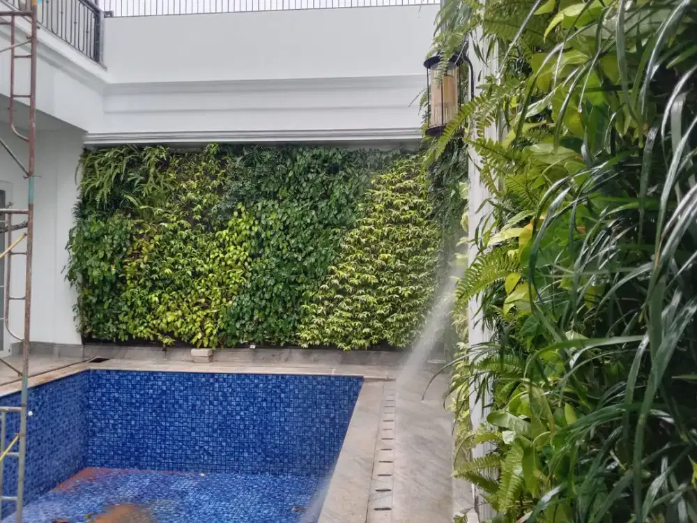 jual jasa taman dinding vartical harga permeter