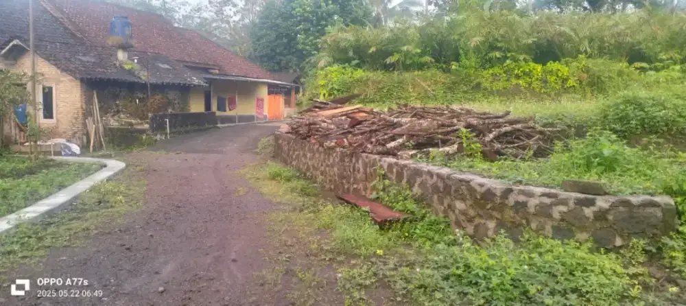 Dijual Tanah Pekarangan Di Lingkungan  Wisata Bangunkerto Turi Sleman