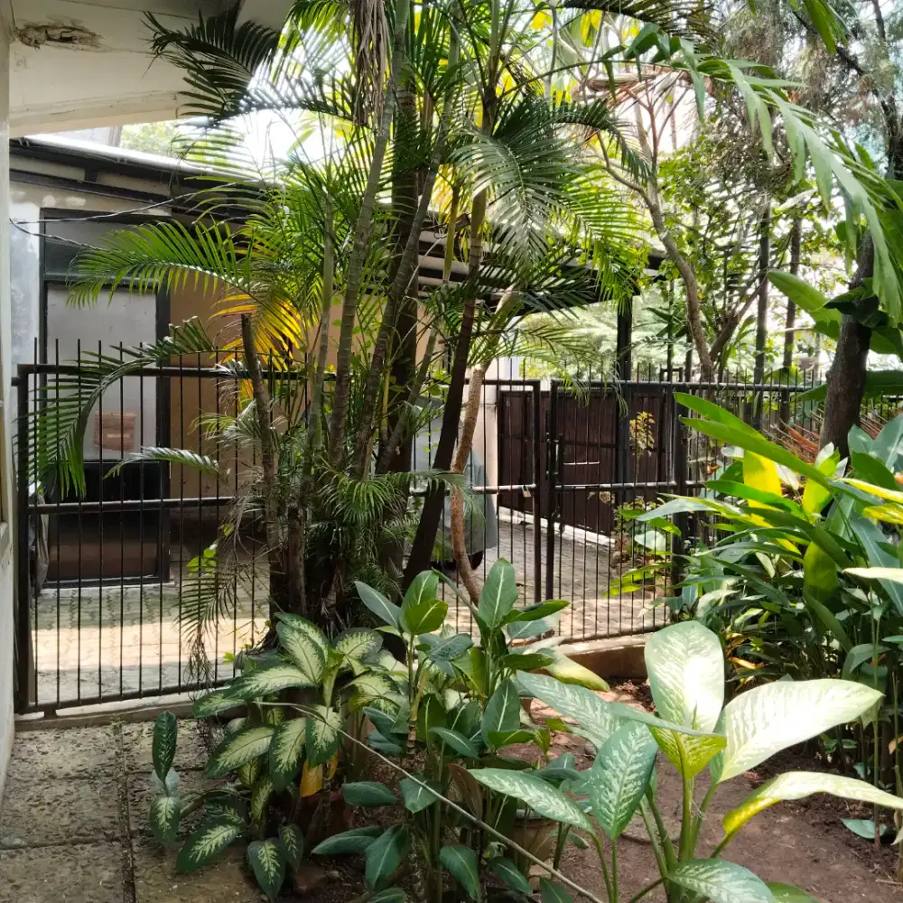 Dijual Rumah lokasi hoek di Menteng Jakarta Pusat