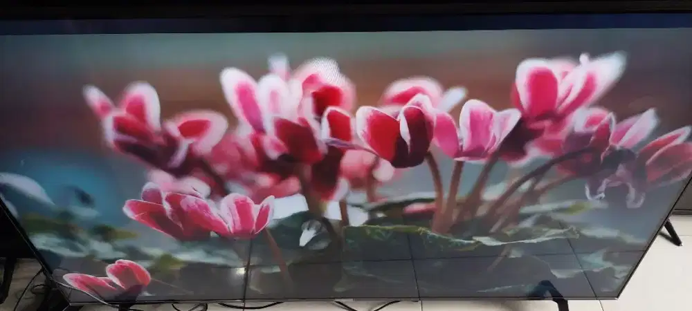 Tv lg 65 UQ 8000 PSC smrat digita