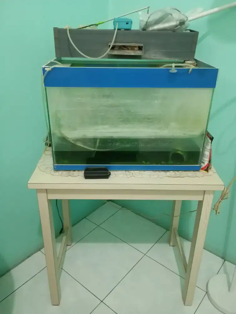 Akuarium 60x30 FullSet Meja (BEKAS)