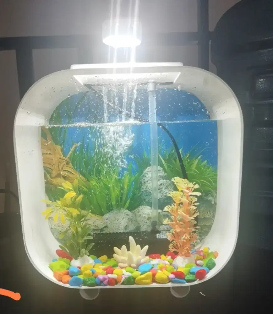 Aquarium mini/ Aquascape