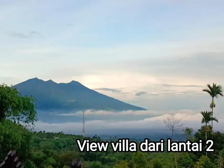 Villa kayu Di jual murah di bogor ciawi
