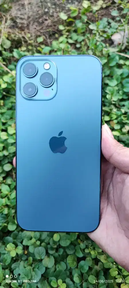 iPhone 12 Pro Max Fullset