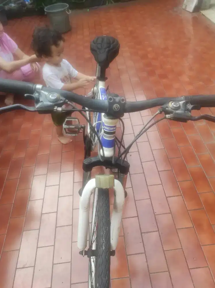 Sepeda pacific warna putih