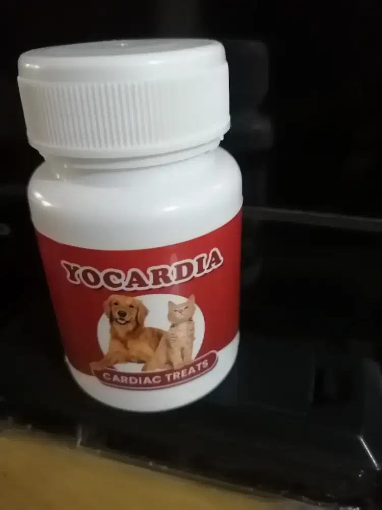 Suplemen Jantung Anjing Kucing harga per tablet