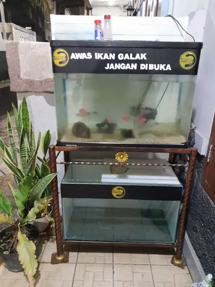 AQUARIUM BESERTA MEJANYA