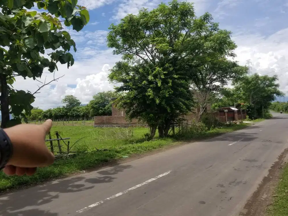 Jual Tanah di Moyo Hilir