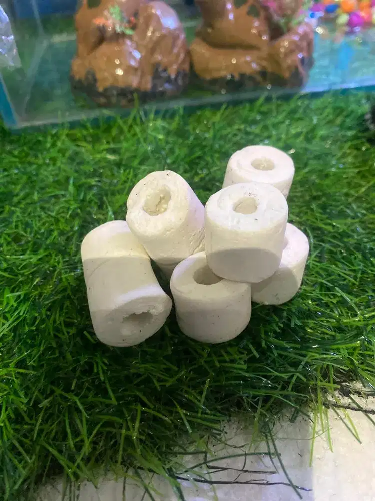 Batu Bioring filter air