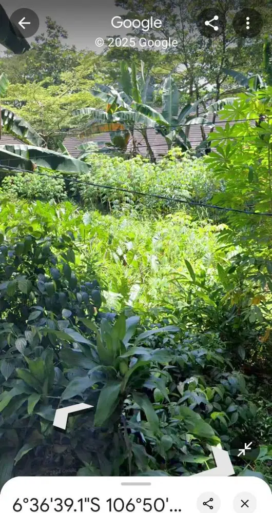 Tanah dekat Cimahpar, Bogor.