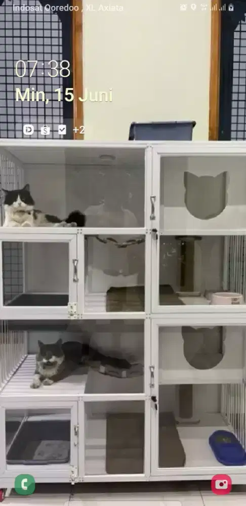 Kandang kucing alumunium bandung