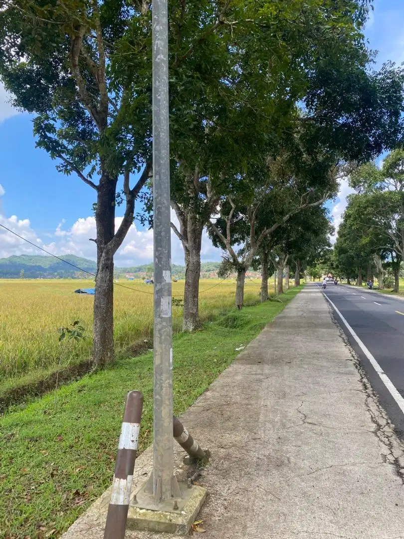 DIJUAL CEPAT Tanah lokasi bagus pinggir jalan raya cikijing ciamis