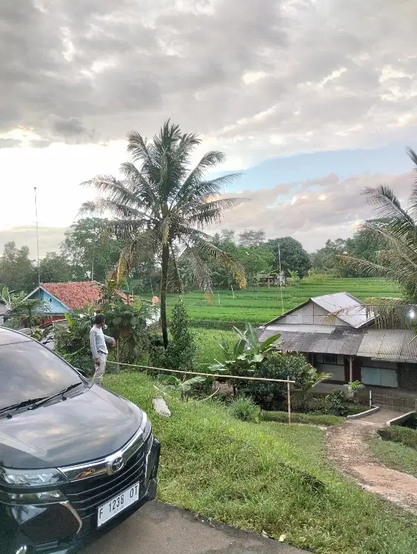 Jual Cepat Tanah Sawah Pasawahan Purwakarta