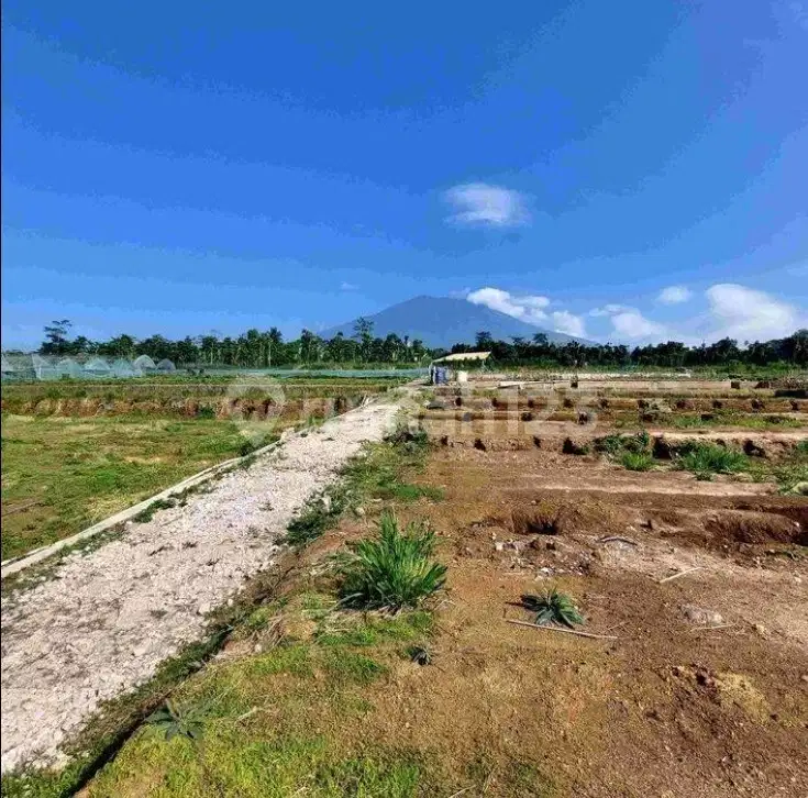 Dijual Tanah 4.775 m2 Cugenang, Cianjur