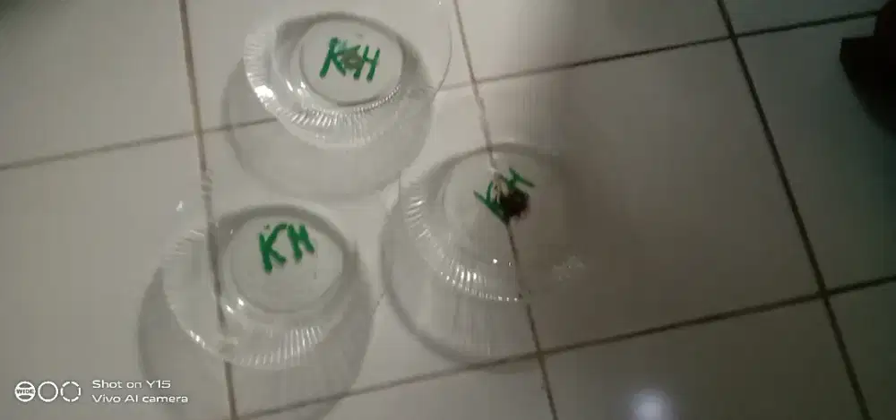 Dijual piring motif rempel