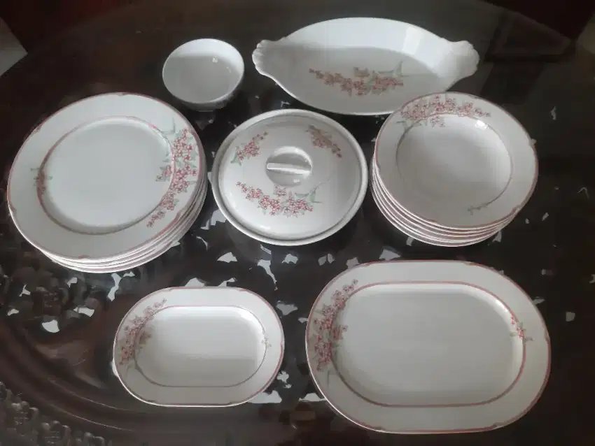 Vintage Dinner Set PILLIVUYT FRANCE bukan Johnson Bros