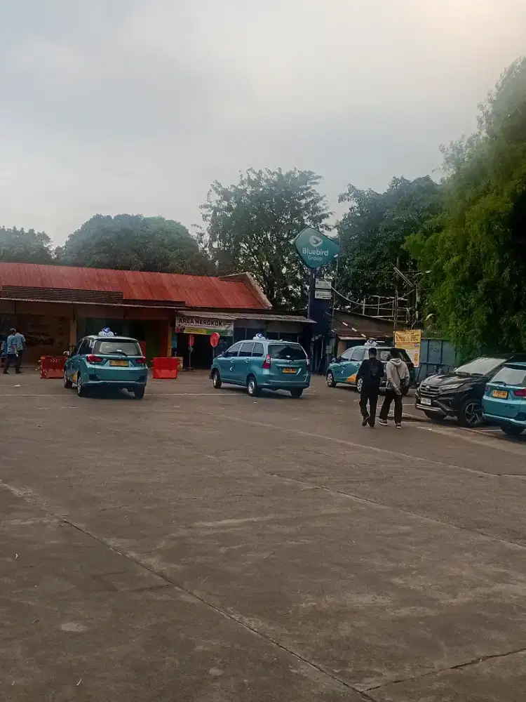 Dibutuhkan pengemudi online bluebird jakarta timur