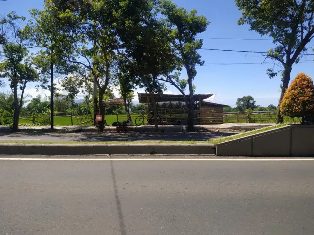 Dijual Tanah depan jalan Gajahmada Giri Banyuwangi
