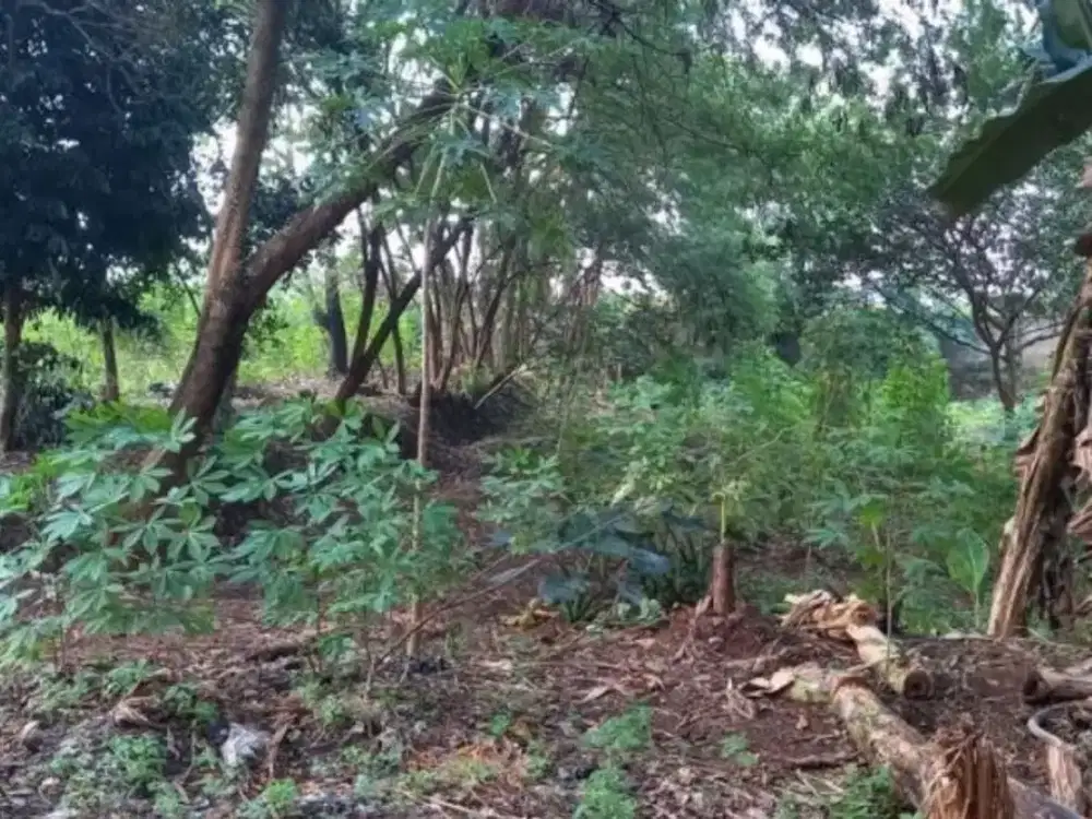 Dijual Tanah Kavling SHM 80m di Margo Asri Sragen