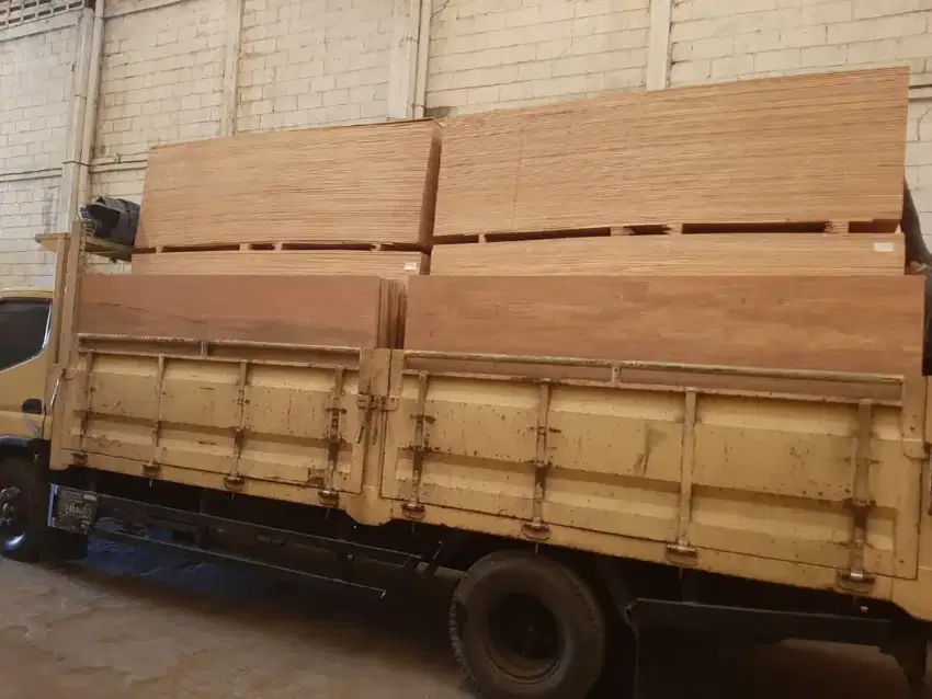 Plywood MURAH apik