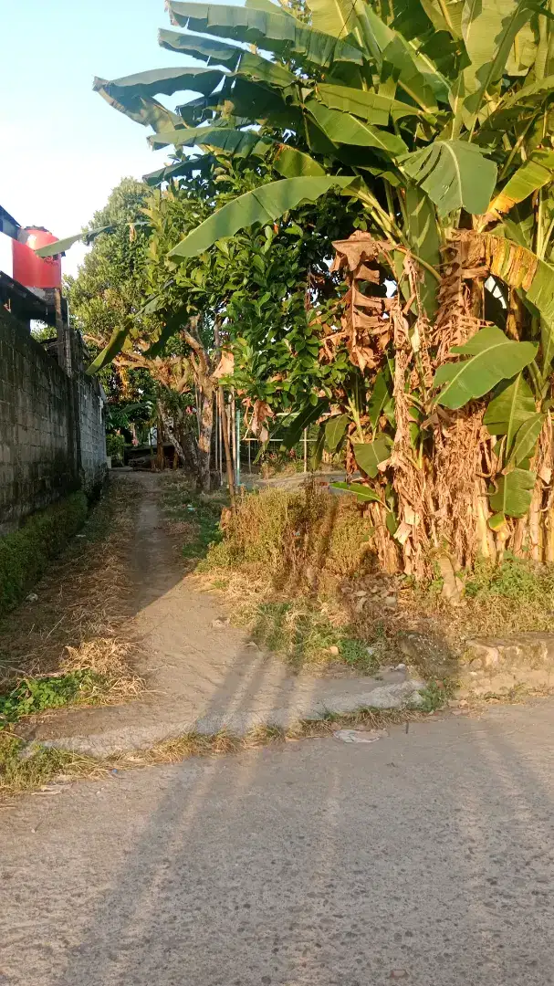 Dijual tanah shm pekarangan brimob jl imogiri timur masuk200 meter