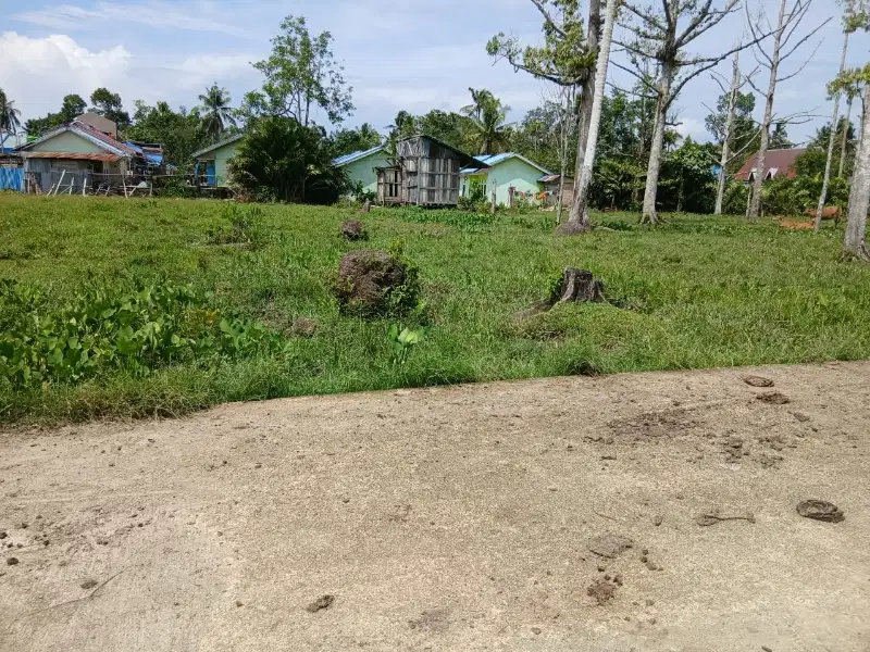Jual Tanah di Kota Sorong Kilo 14