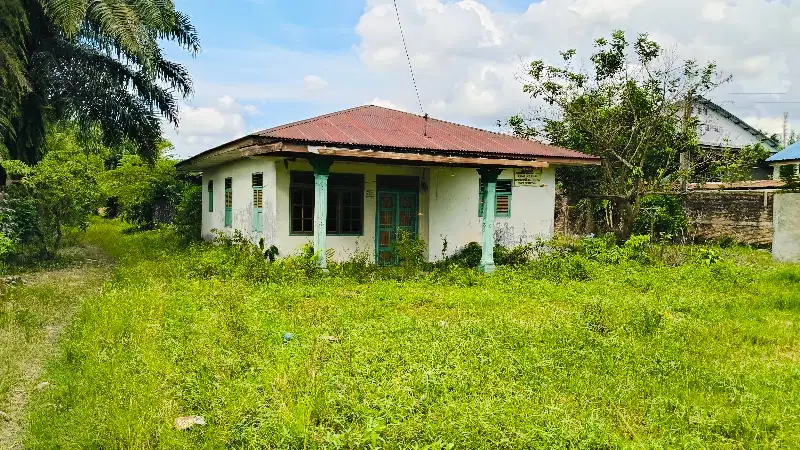 Dijual Cepat Tanah luas Banget dan Murah