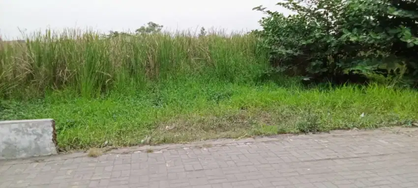 Kavling 80m² Harga 65jt, Free AJB (Akta Jual Beli)