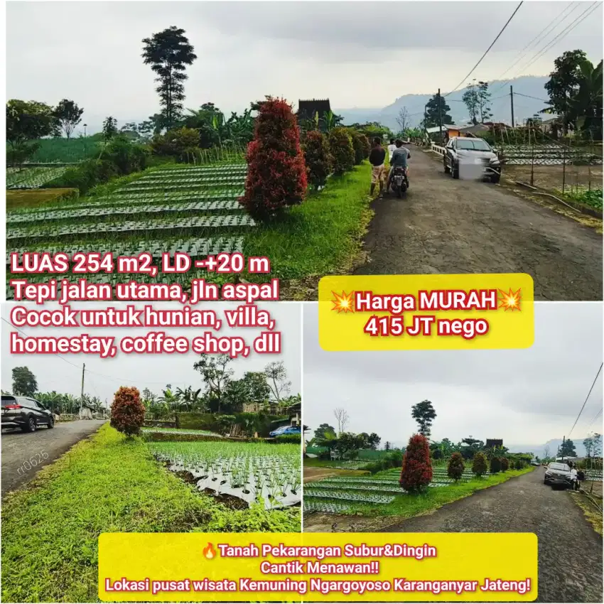 Tanah Istimewa Cocok Untuk Villa Kemuning Ngargoyoso
