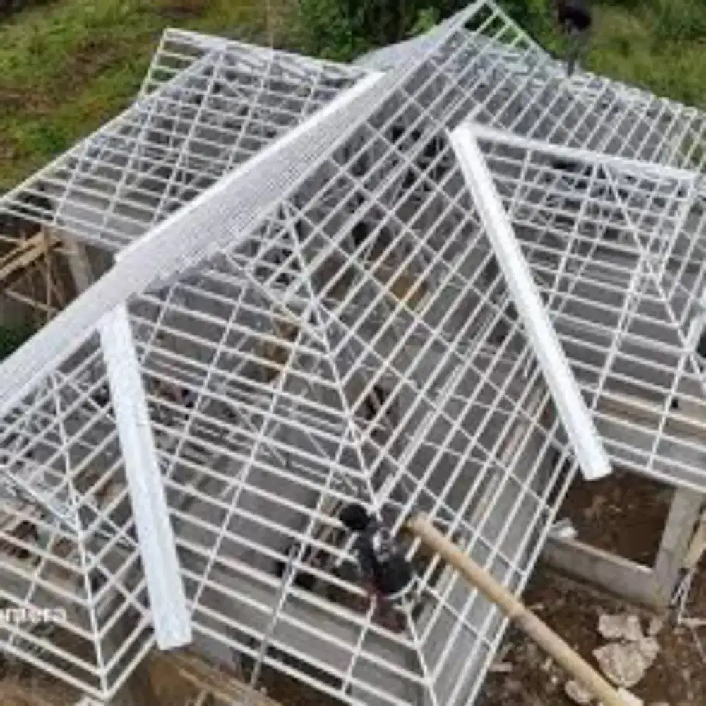 Pemasangan baja ringan dan plafon pvc