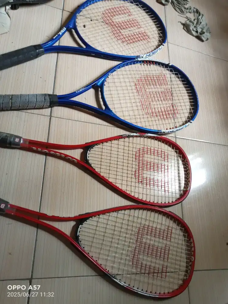 Raket Tennis Wilson asli