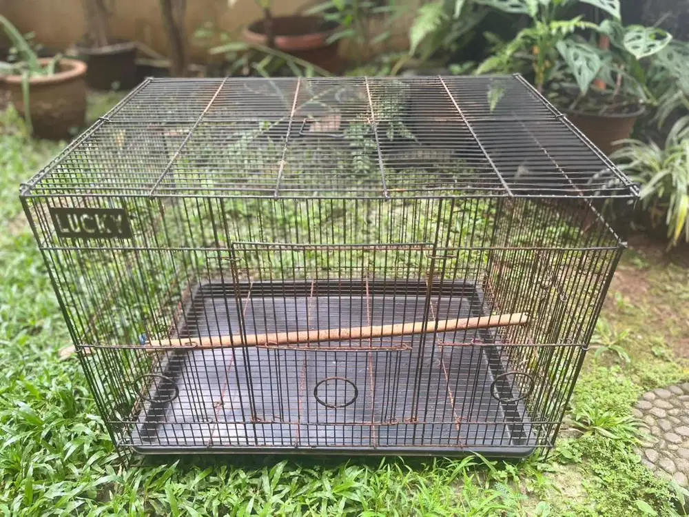 Kandang bekas sugar glider