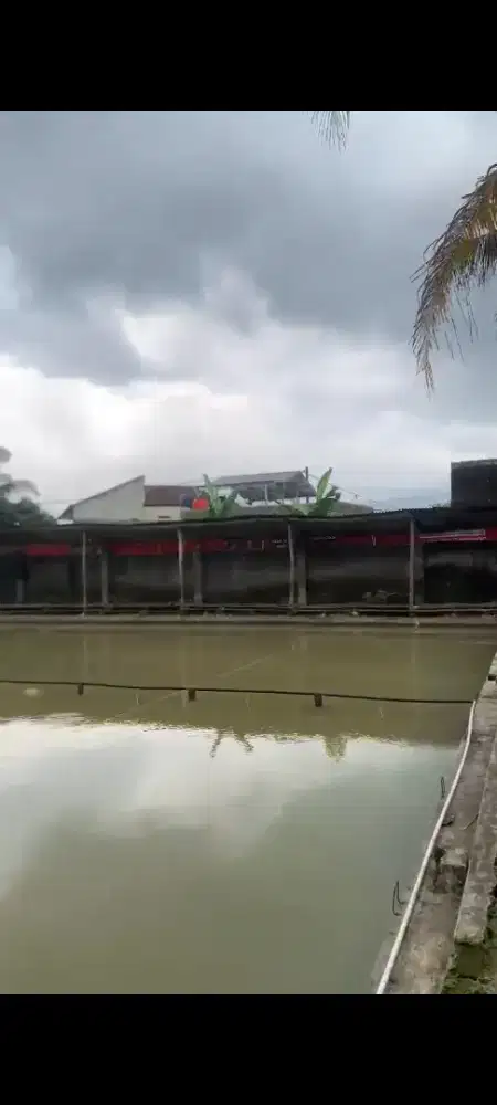 Dijual Kolam Pemancingan Aktif di Sumedang Utara