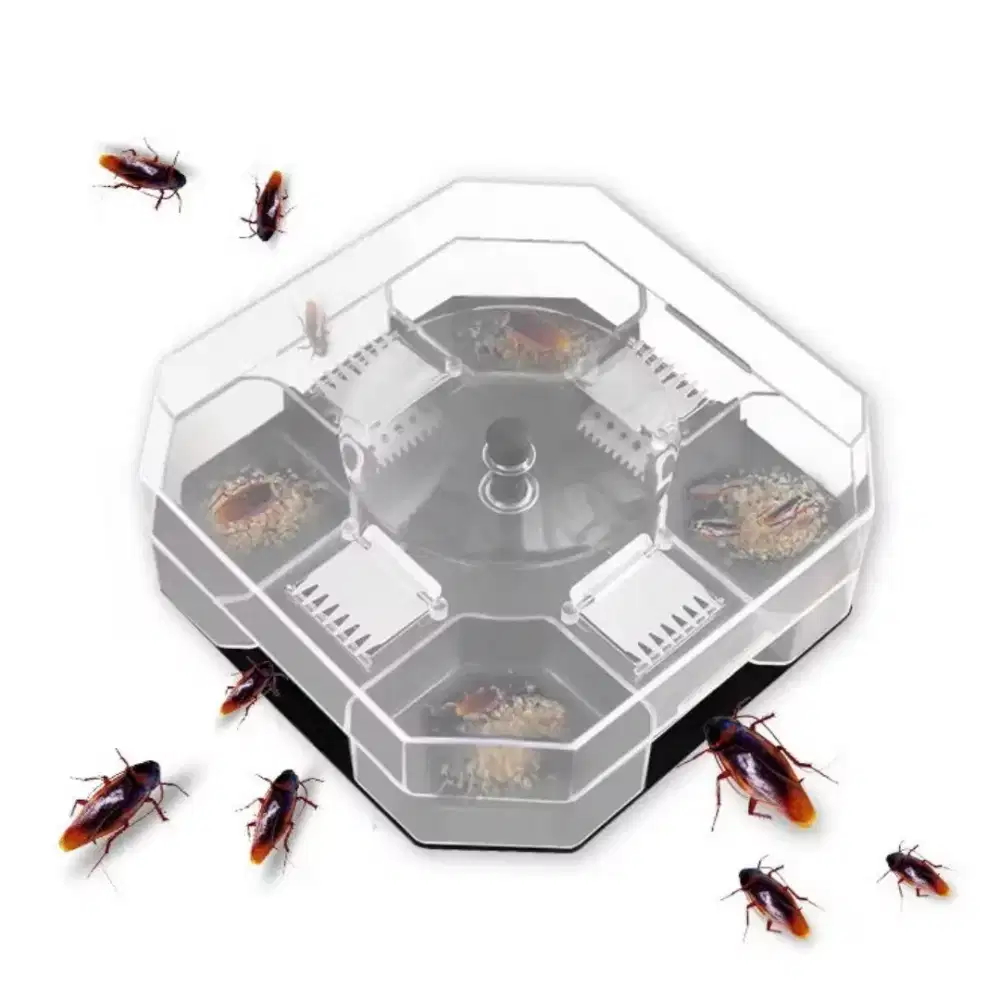Jebakan Perangkap Kecoa Serangga Pembasmi Trap Cockroach Reusable